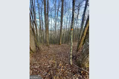 0 Lots 9 &amp; 9A Wild Bird, Sky Valley, GA 30537 - Photo 3