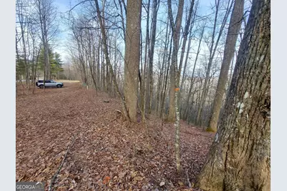 0 Lots 9 &amp; 9A Wild Bird, Sky Valley, GA 30537 - Photo 5