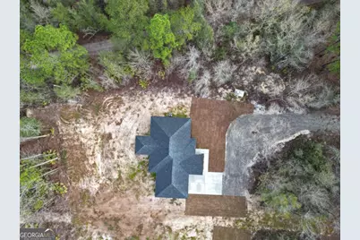 1050 Stafford Dairy Road SE, Ludowici, GA 31316 - Photo 3