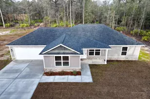 1050 Stafford Dairy Road SE, Ludowici, GA 31316 - Photo 1