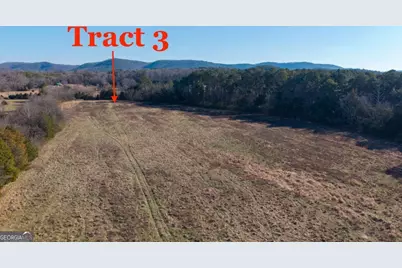 0 Liberty Church Road, Ranger, GA 30734 - Photo 3