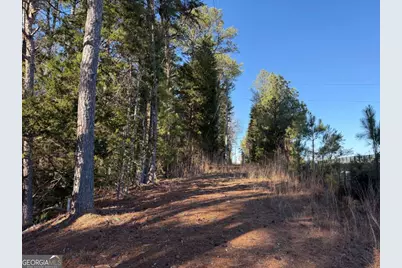 0 Liberty Church Road, Ranger, GA 30734 - Photo 19