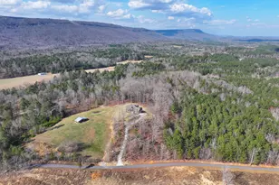 39 Acres On E Teloga Rd, Summerville, GA 30747 - Photo 7