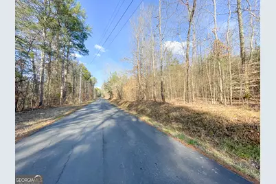 39 Acres On E. Teloga Road, Summerville, GA 30747 - Photo 45