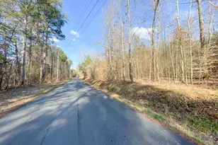 39 Acres On E Teloga Rd, Summerville, GA 30747 - Photo 45