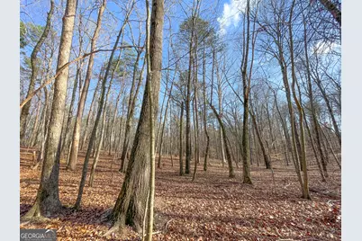 39 Acres On E. Teloga Road, Summerville, GA 30747 - Photo 43