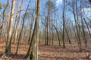 39 Acres On E Teloga Rd, Summerville, GA 30747 - Photo 43