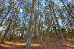 39 Acres On E Teloga Rd, Summerville, GA 30747 - Photo 39