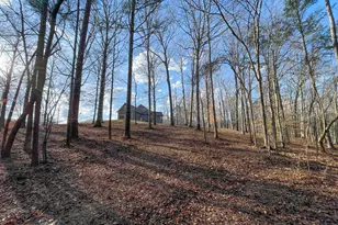 39 Acres On E Teloga Rd, Summerville, GA 30747 - Photo 41