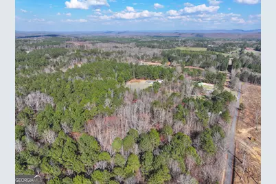 39 Acres On E. Teloga Road, Summerville, GA 30747 - Photo 9