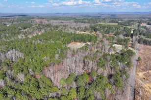 39 Acres On E Teloga Rd, Summerville, GA 30747 - Photo 9