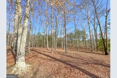 39 Acres On E. Teloga Road, Summerville, GA 30747 - Photo 35
