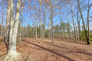 39 Acres On E Teloga Rd, Summerville, GA 30747 - Photo 35