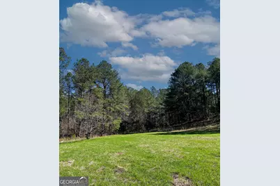 17081 Ga Highway 85 W, Shiloh, GA 31826 - Photo 31