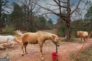 17081 Ga Hwy 85 W, Shiloh, GA 31826 - Photo 23