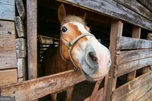 17081 Ga Hwy 85 W, Shiloh, GA 31826 - Photo 29