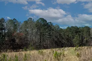 17081 Ga Hwy 85 W, Shiloh, GA 31826 - Photo 49