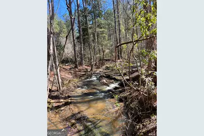 17081 Ga Highway 85 W, Shiloh, GA 31826 - Photo 33