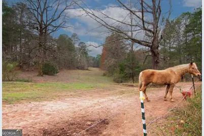 17081 Ga Highway 85 W, Shiloh, GA 31826 - Photo 9