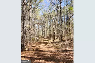 17081 Ga Highway 85 W, Shiloh, GA 31826 - Photo 29