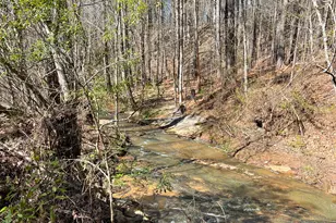 17081 Ga Hwy 85 W, Shiloh, GA 31826 - Photo 47