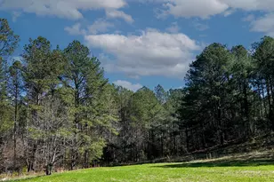 17081 Ga Hwy 85 W, Shiloh, GA 31826 - Photo 51