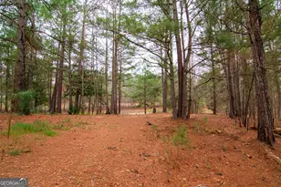 17081 Ga Hwy 85 W, Shiloh, GA 31826 - Photo 25