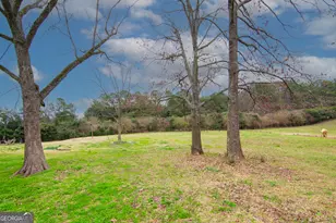 17081 Ga Hwy 85 W, Shiloh, GA 31826 - Photo 21