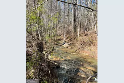 17081 Ga Highway 85 W, Shiloh, GA 31826 - Photo 35