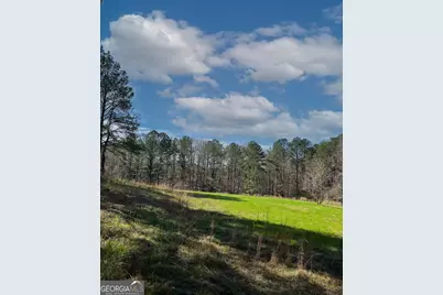 17081 Ga Highway 85 W, Shiloh, GA 31826 - Photo 37