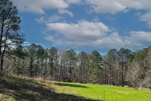 17081 Ga Hwy 85 W, Shiloh, GA 31826 - Photo 43