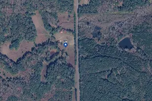 17081 Ga Highway 85 W, Shiloh, GA 31826 - Photo 55