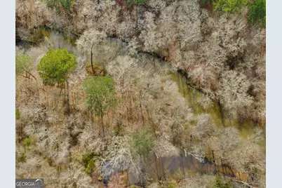 138 Lewis Road, Jackson, GA 30233 - Photo 9