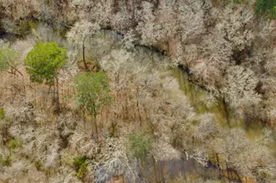 138 Lewis Rd, Jackson, GA 30233 - Photo 9