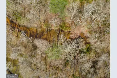 138 Lewis Road, Jackson, GA 30233 - Photo 7