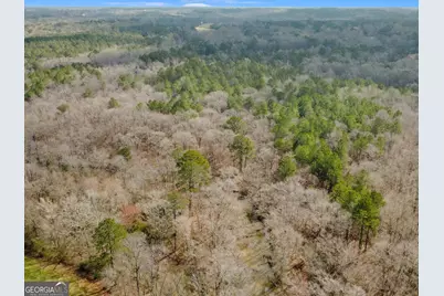 138 Lewis Road, Jackson, GA 30233 - Photo 11