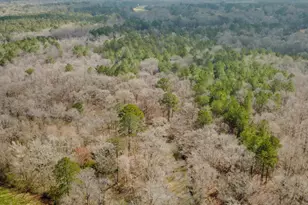 138 Lewis Rd, Jackson, GA 30233 - Photo 11