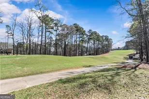 1100 Lake Dr, Greensboro, GA 30642 - Photo 3