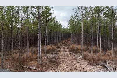 557 Acres On Taliaferro Springs Road, Lyerly, GA 30730 - Photo 5