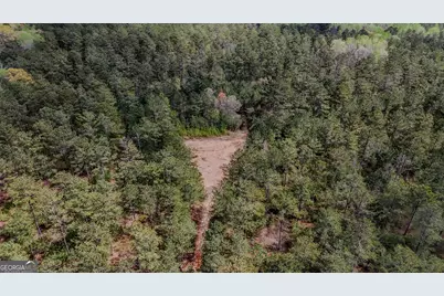 0 Hwy 166 Road, Carrollton, GA 30116 - Photo 1