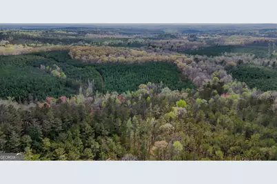 0 Hwy 166 Road, Carrollton, GA 30116 - Photo 5