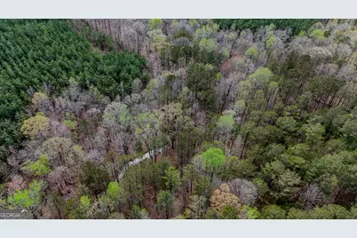 0 Hwy 166 Road, Carrollton, GA 30116 - Photo 7