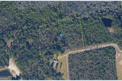 305 Worthington Drive, Ludowici, GA 31316 - Photo 1