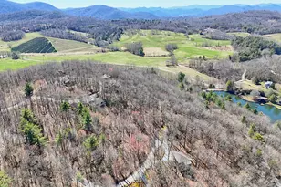 437 High Point Dr, Scaly Mountain, NC 28775 - Photo 49