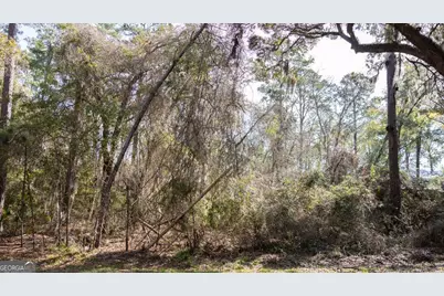 116 Butler Lake Drive, Saint Simons, GA 31522 - Photo 3