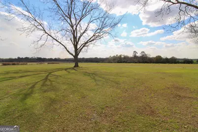 427 Pulaski High School Road, Pineview, GA 31071 - Photo 29