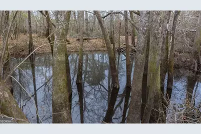 5230 Coleman Bridge Spur Road, Cobbtown, GA 30420 - Photo 7