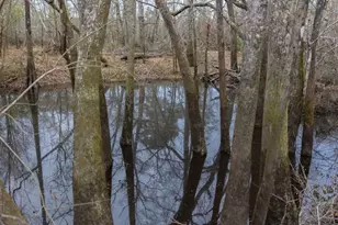 5230 Coleman Bridge Spur, Cobbtown, GA 30420 - Photo 7