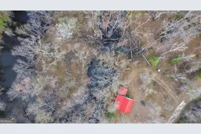 5230 Coleman Bridge Spur Road, Cobbtown, GA 30420 - Photo 3