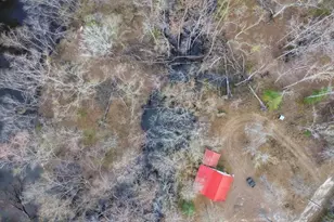 5230 Coleman Bridge Spur, Cobbtown, GA 30420 - Photo 3